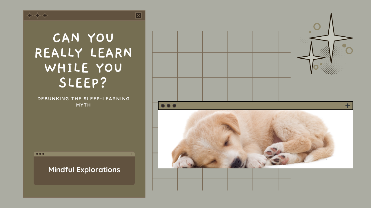 Can You Really Learn While You Sleep? Debunking the Sleep-Learning Myth