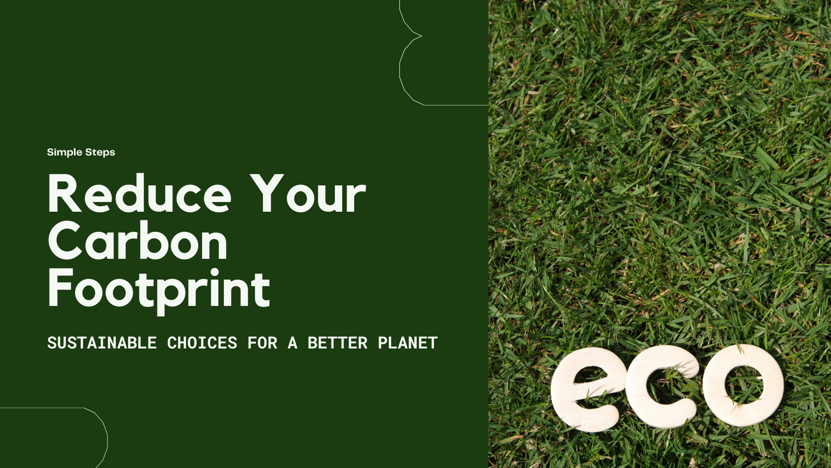 🌍 How to Reduce Your Carbon Footprint Without Breaking the Bank
