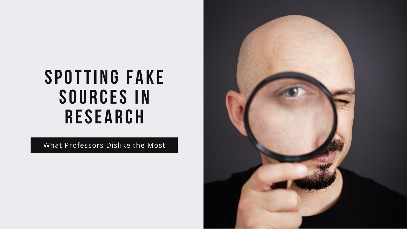 Spotting Fake Sources: What Professors Hate the Most