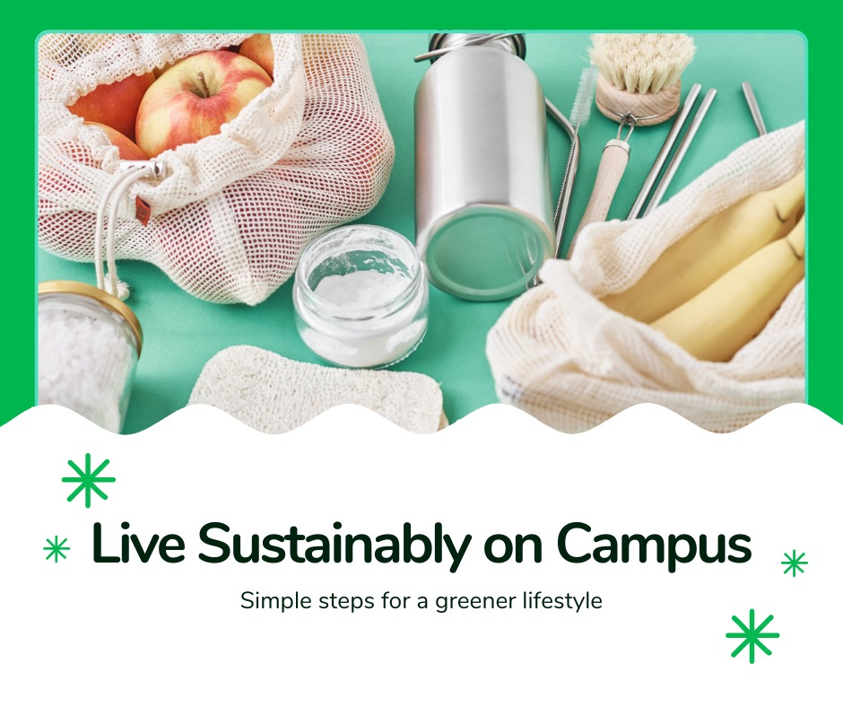 Easy Ways to Live a More Sustainable Life on Campus
